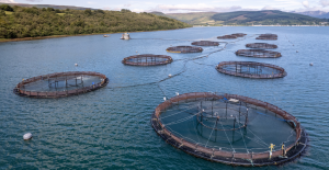 HDPE Piping solutions for Aquaculture and Marine Applications