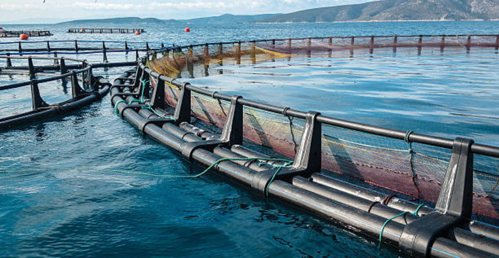 HDPE Pipe Systems for Aquaculture and Fish Farming